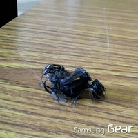 20151227222650526.jpg