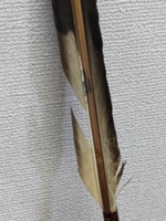 20180507143540965.jpg